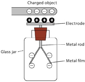 Figure 1: Diagram showing how a leaf electrometer works and a picture of a leaf electrometer